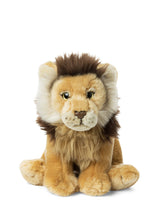Peluche Lion Helvora – Douce & Écoresponsable 23 cm