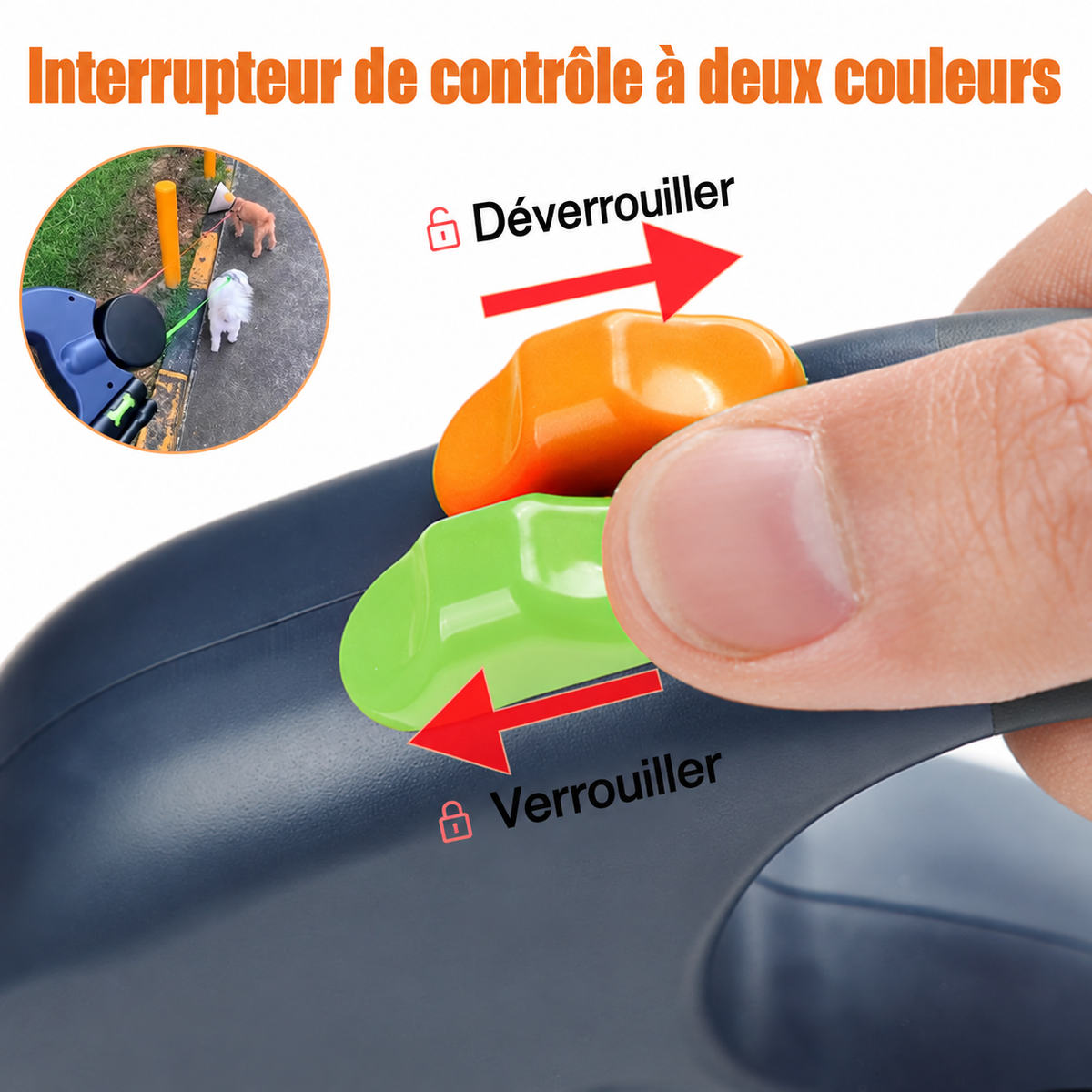 Laisse Rétractable Helvora PetWalk 3M – Réfléchissante & Pivot 360°