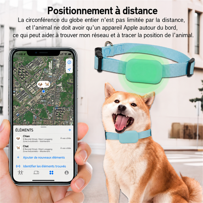 Collier GPS pour Chien & Chat Helvora PetTrack – Localisation en Temps Réel