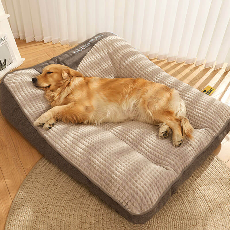 Grand lit épais et anti-rayures pour chien avec protection de la colonne vertébrale