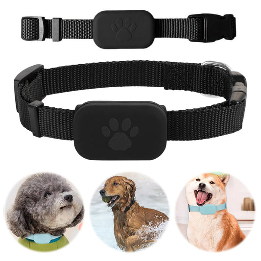 Traqueur GPS étanche pour animaux de compagnie, localisateur de chien et de chat, avec collier réglable, dispositif de suivi Anti-perte pour chiens, en temps réel pour iOS/Android