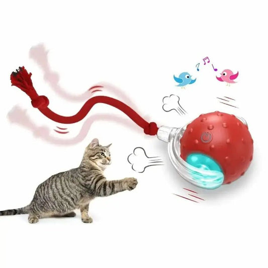 Balle magique pour chat - Lumières & mouvement | FéliMagic