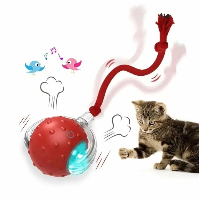 Balle magique pour chat - Lumières & mouvement | FéliMagic