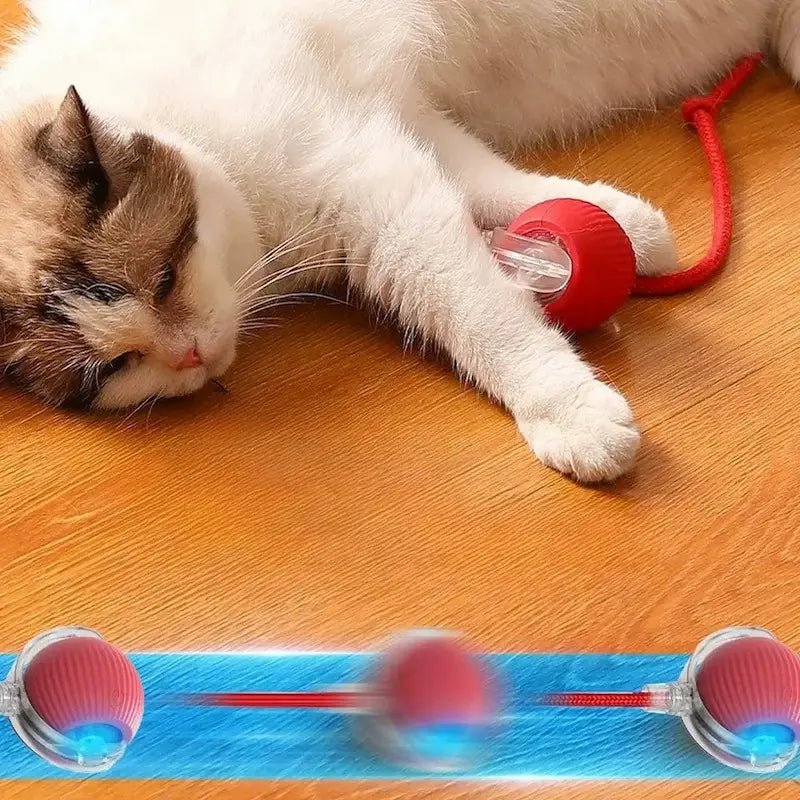 Balle magique pour chat - Lumières & mouvement | FéliMagic